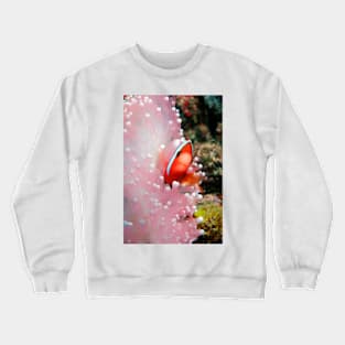 Black anemone fish (Z605/1712) Crewneck Sweatshirt